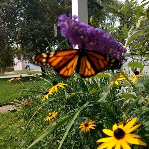 Meet your Posher, Jean